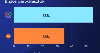 Partia Pétera Magyara z rekordową przewagą. Najnowszy sondaż Medián. sondaż wyborczy na Węgrzech