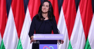 anita orban, ambasador Węgier zostaje odwołany